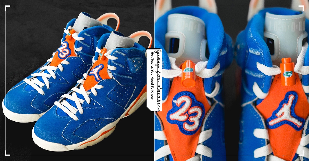 Air Jordan 6 PE「Florida Gators」