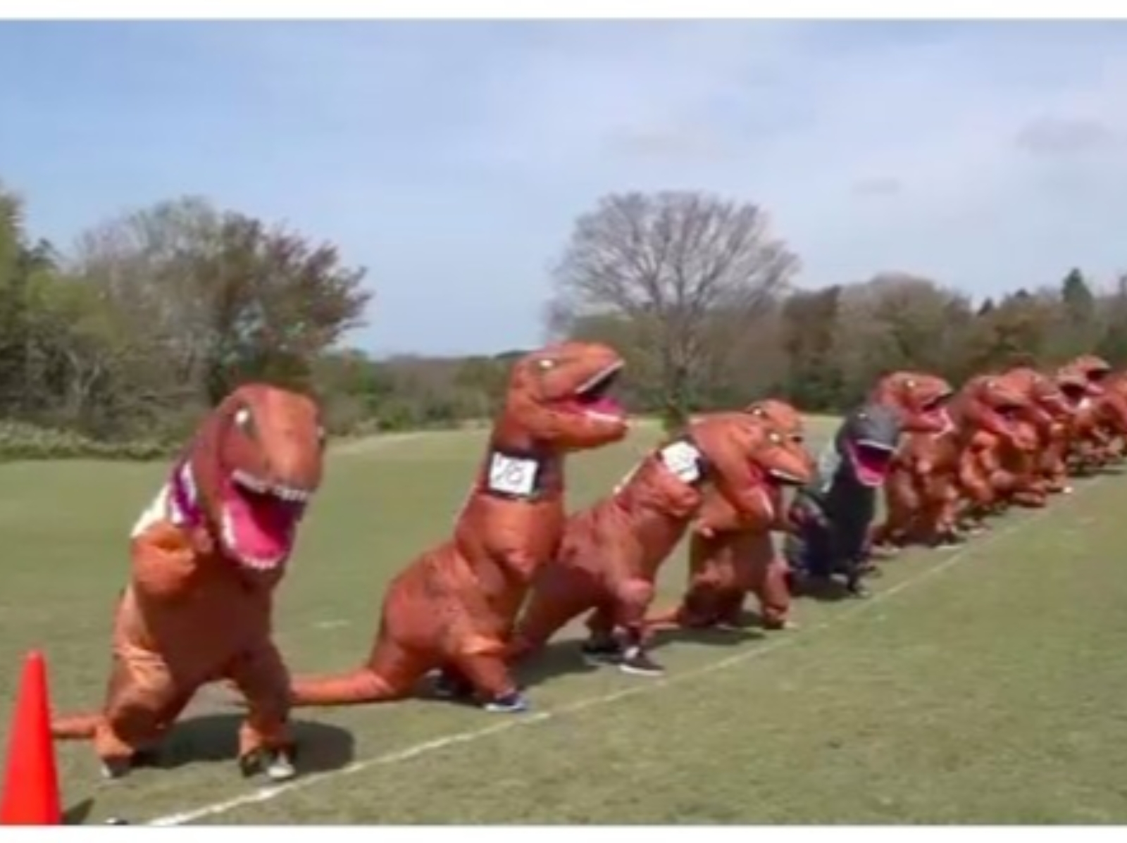 日本舉辦超鬧「恐龍裝賽跑」，近 100 頭暴龍集體狂奔太爆笑！