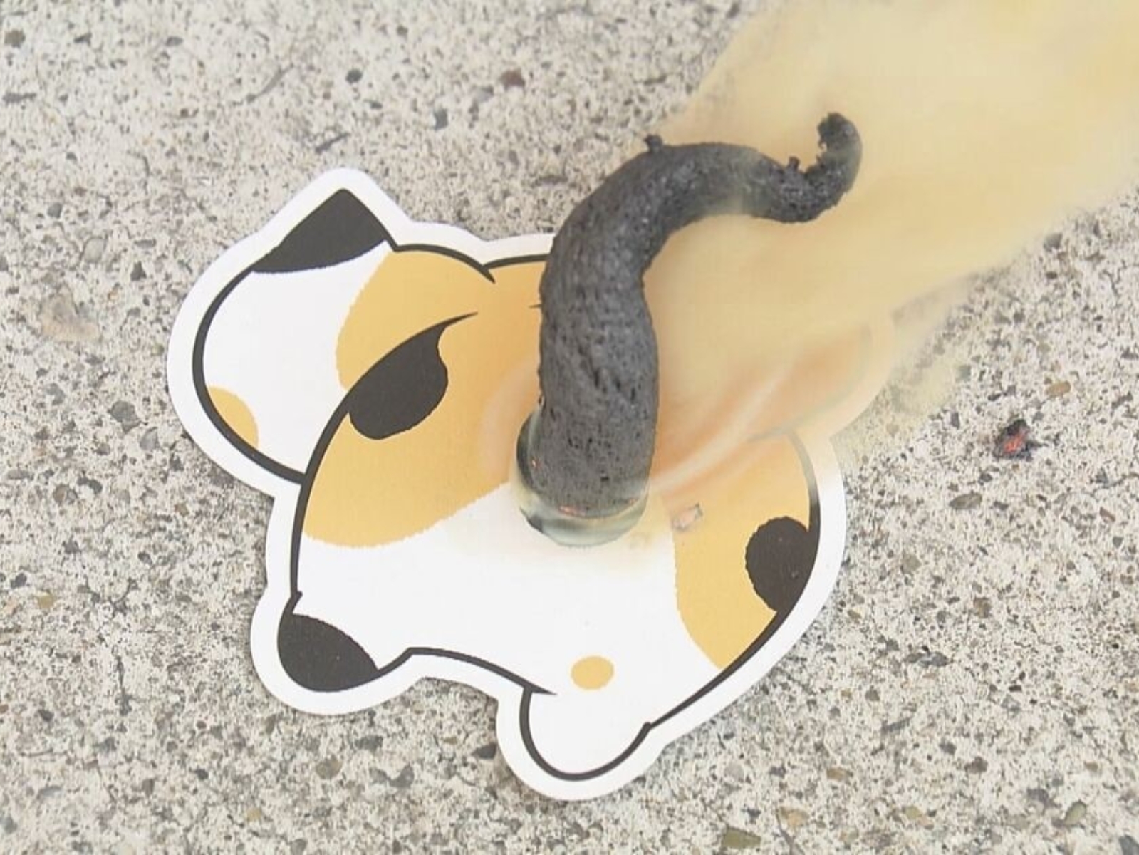 日本衝擊性商品「貓咪便便煙火」，只要一點燃就會冒出長條黑色物質！