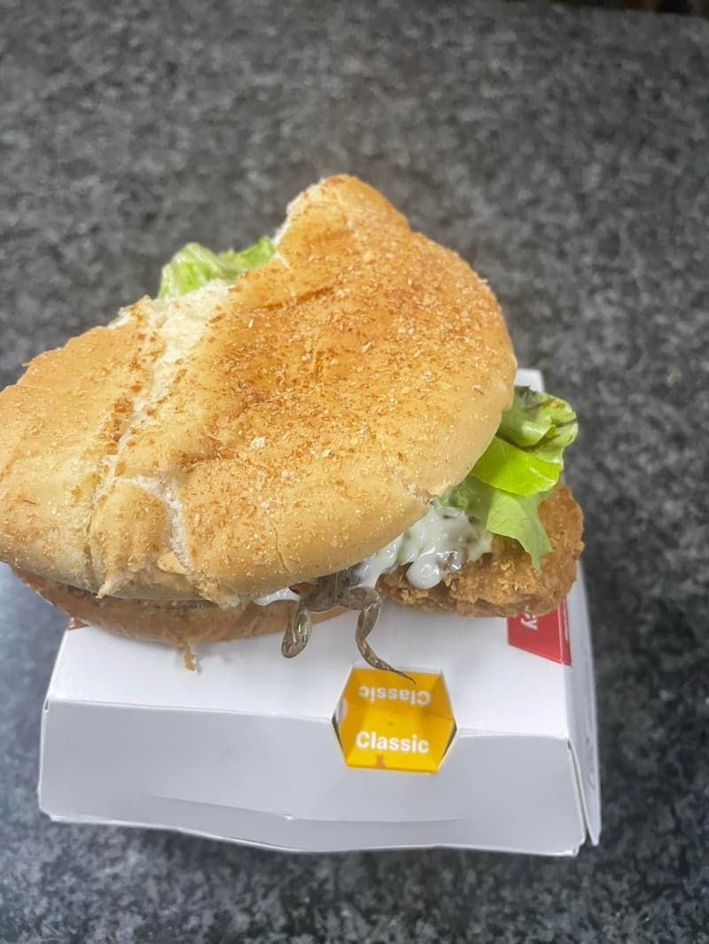 南非麥當勞漢堡出現「死青蛙」，客人看到崩潰傻眼