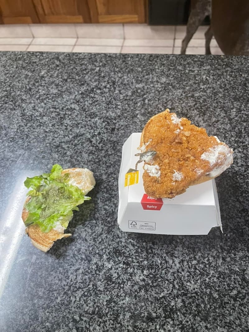 南非麥當勞漢堡出現「死青蛙」，客人看到崩潰傻眼