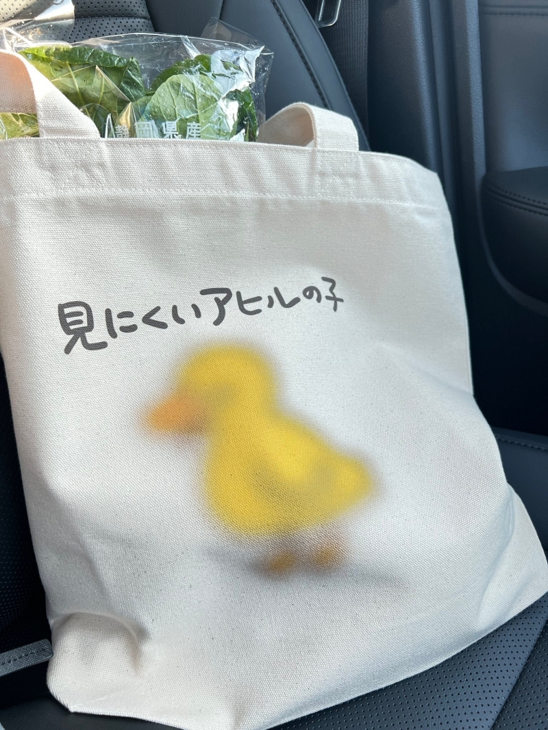 日本推特爆紅「看不清楚鴨」帆布袋，第一眼還以為是自己眼花！