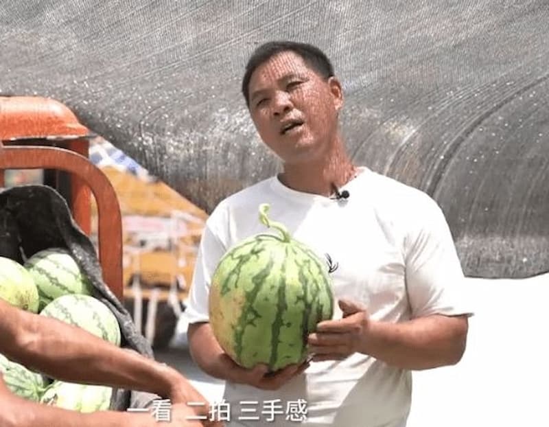中國「驗瓜師」平均月收破十萬，一秒就能驗出西瓜甜不甜