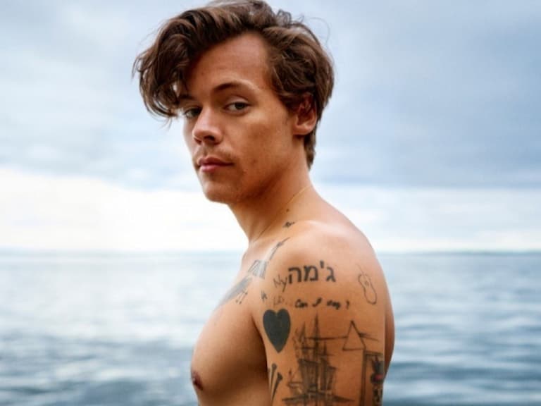 哈利斯泰爾斯 Harry Styles 簽下 1 億美元合約,將演出五部漫威宇宙電影!