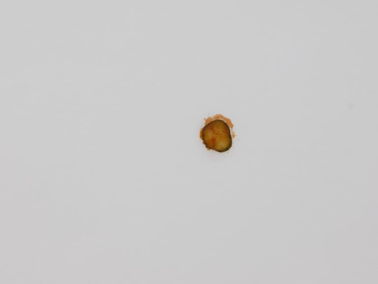 麥當勞「酸黃瓜」黏天花板竟成藝術作品？甚至還要價近 19 萬台幣！