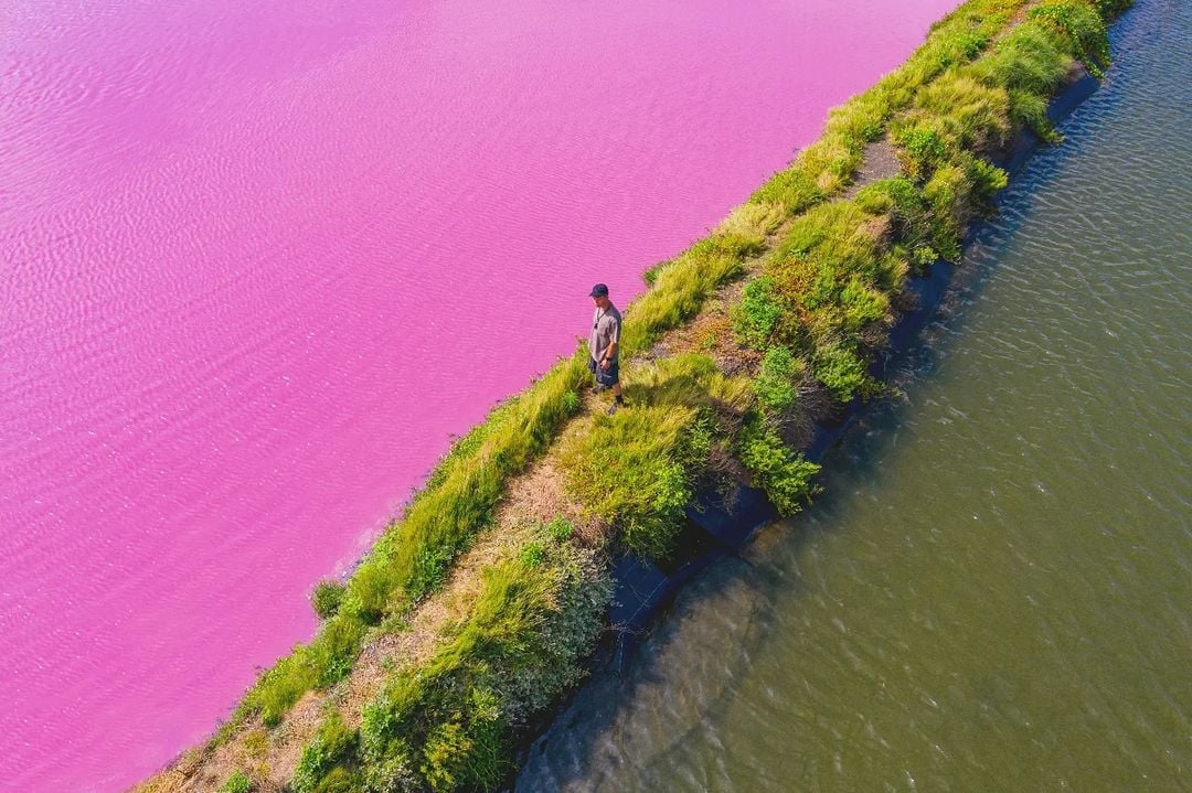 彰化漢寶粉紅湖