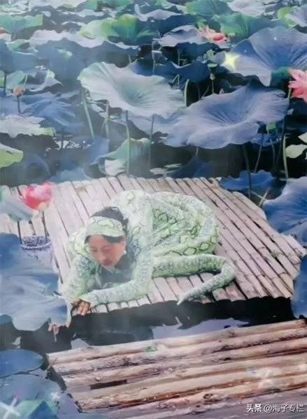 中國大媽在蓮池中扮青蛇，畫面曝光驚呆網友們！