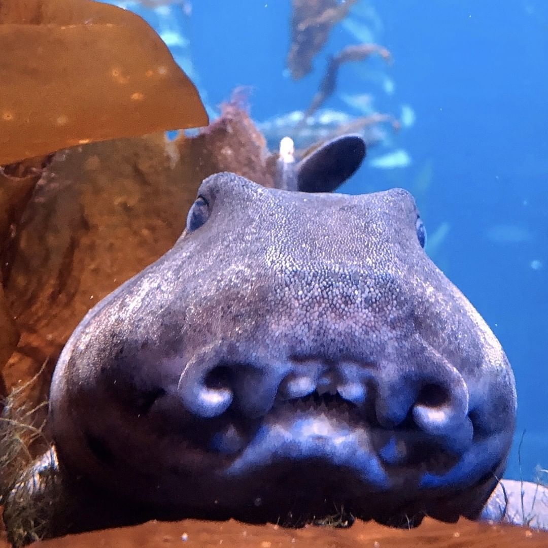 屏東國立海洋生物博物館