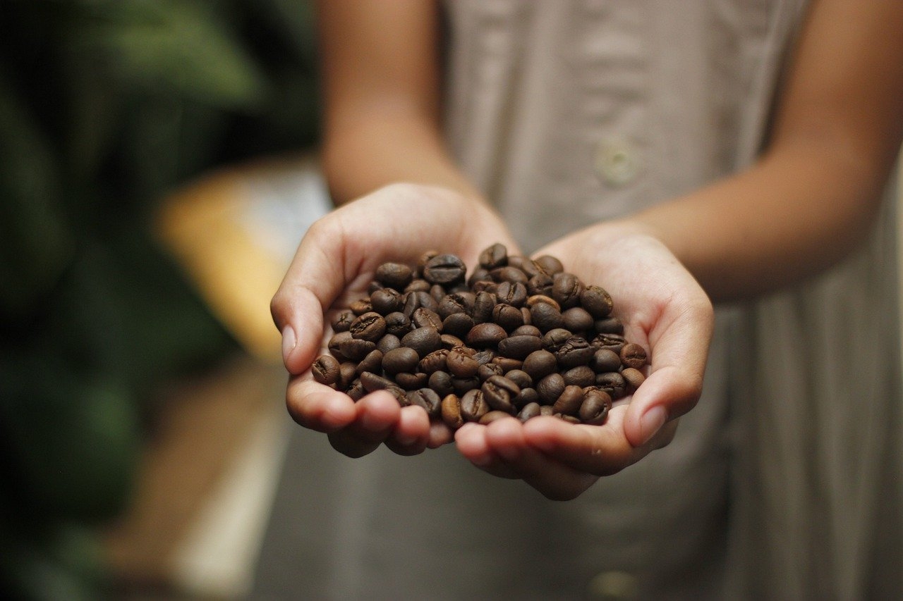 【2022 咖啡新手指南】咖啡豆品種、 8 大咖啡產地、風味懶人包一次搞懂！