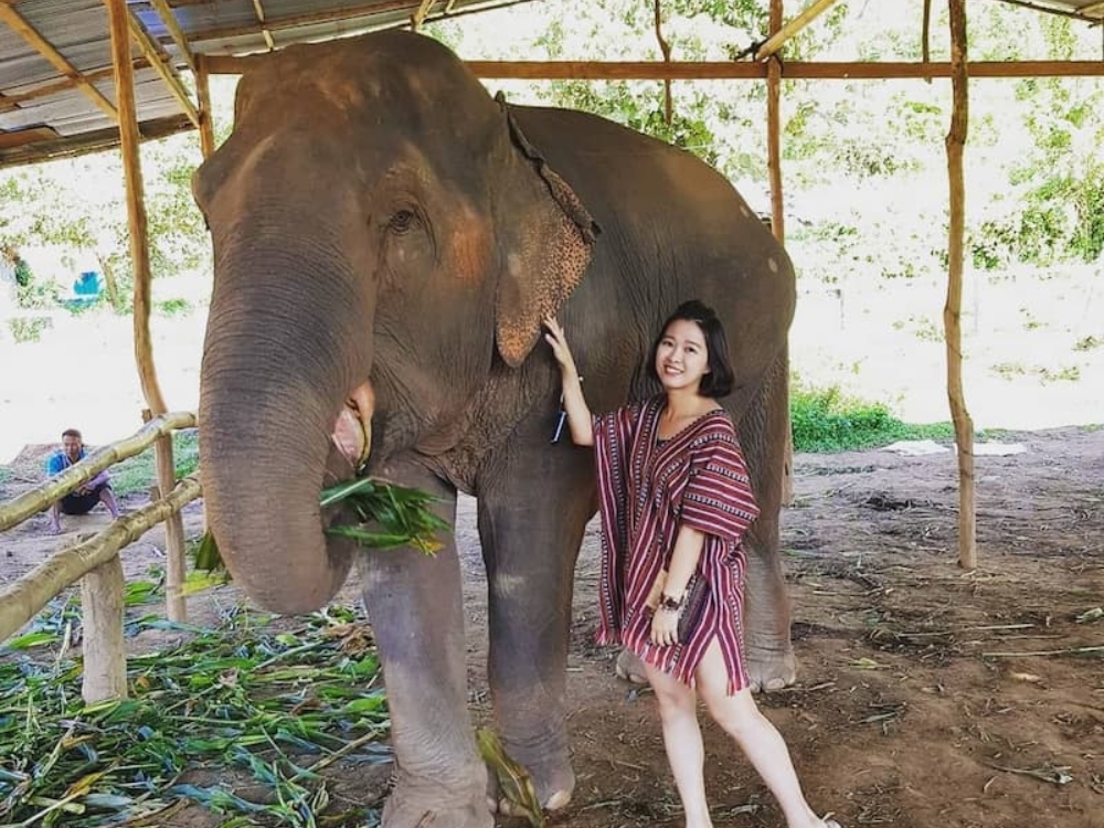 泰國旅遊出發！2022 清邁 5 大經典景點，大象公園、文創市場、寺廟都必玩！