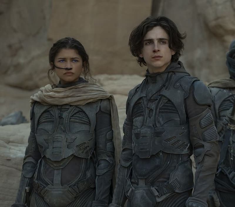  Timoth e Chalamet 2 JUKSY 