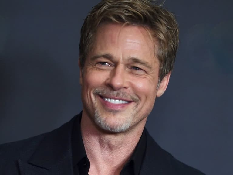 布萊德彼特 Brad Pitt 緋聞女友 Ines de Ramon 正式和丈夫離婚，兩人將恢單認愛？！