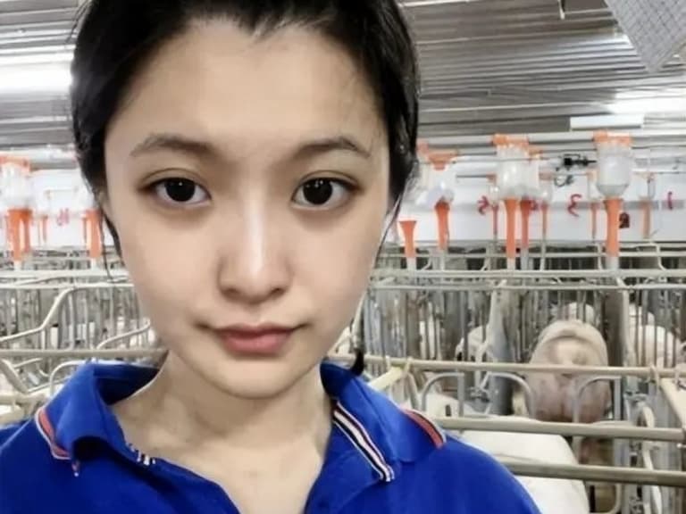 校花級獸醫系正妹畢業後到養豬場工作，每天 6 點上班年薪僅 44 萬台幣！