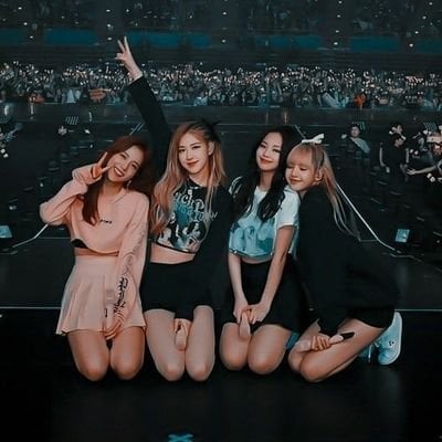 BLACKPINK 演唱會爭議多，ㄚ頭、瑤瑤勸粉絲別站起來反遭嗆！