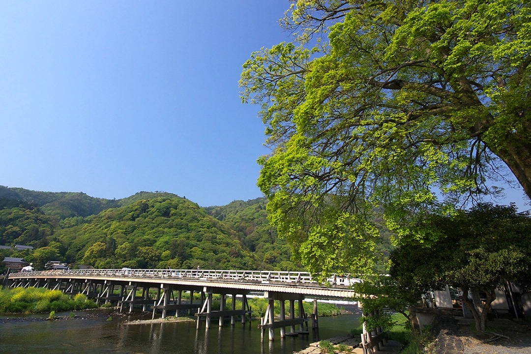 京都景點「渡月橋」