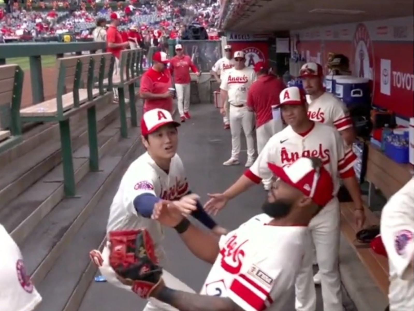 MLB／大谷翔平擊掌不慎重擊隊友臉部，當下感到驚慌不停道歉：「啊對不起！」