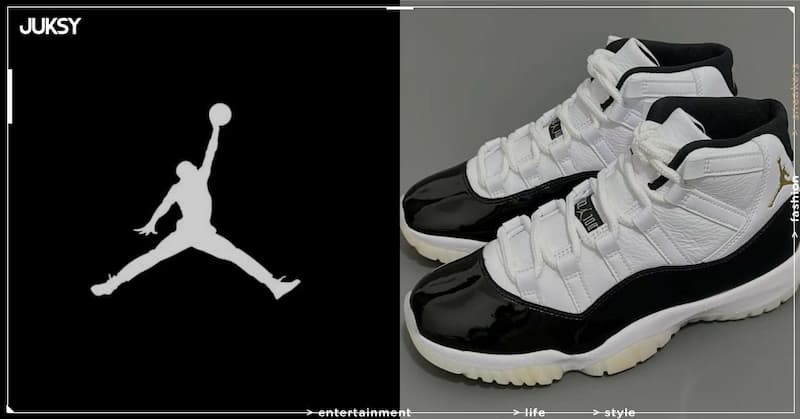 AJ11 JordanBrand Nike DMP