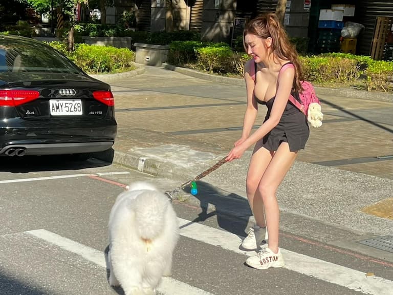 網紅正妹哈霓萱愛犬躺斑馬線不走,「彎腰拔河」畫面曝光引鄉民爆動!【野生抓正妹】