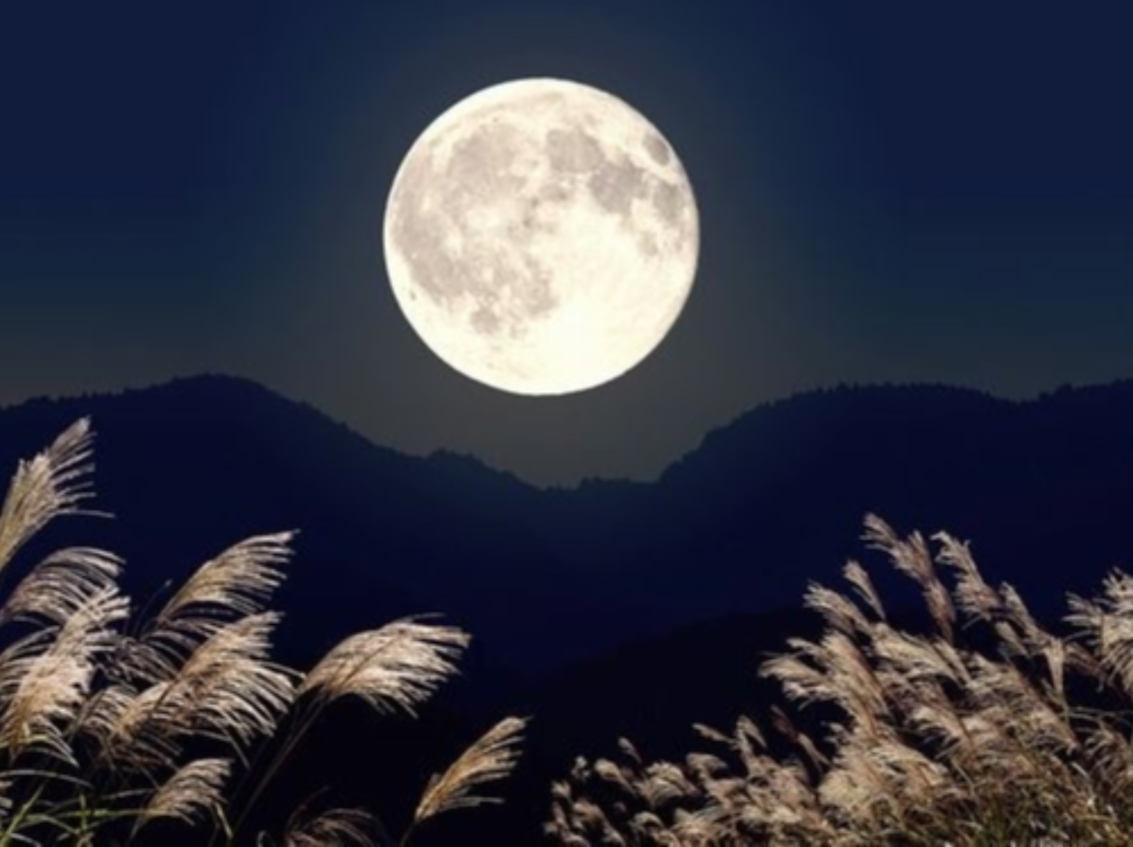 2023 全台 10 大中秋賞月景點推薦，象山、武陵農場⋯想看滿月星辰來這就對了！