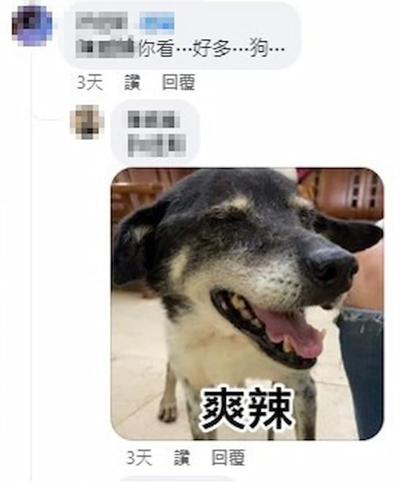 狗勾梗圖藏催淚故事?全網齊喊「浪我來!」 JUKSY 街星