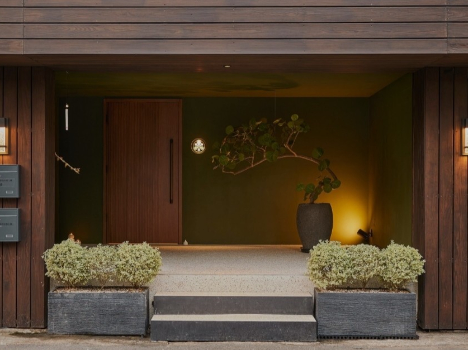 NOBUO｜主廚揉合當季食材與自我哲學的「初夏菜單」登場，餐桌上也能感受四季更迭！