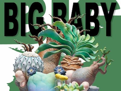 黃品彤攜手 Cloudless Life 打造「Big Baby」特展，塊根植物寶寶展覽資訊公開！