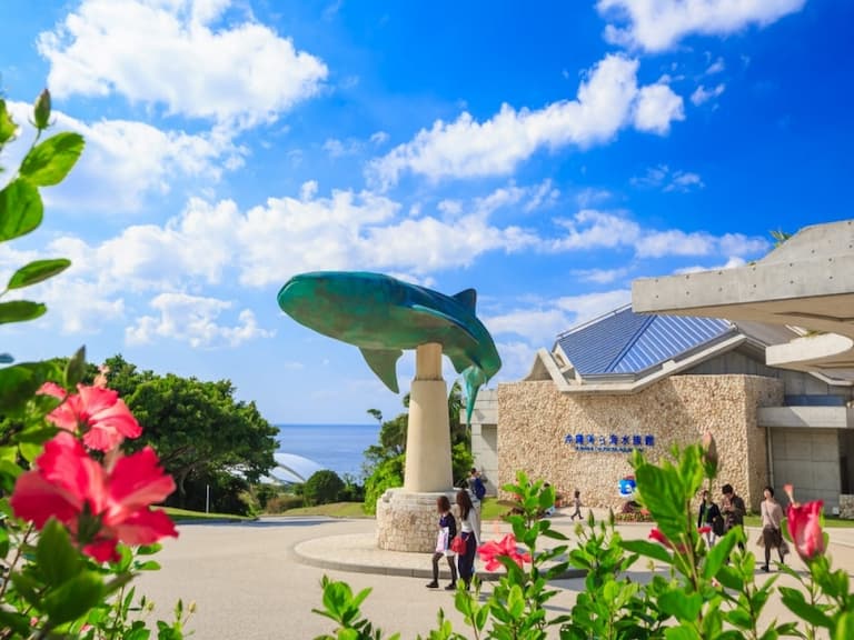 2025 日本沖繩美麗海水族館介紹全攻略:門票、時間、自由行租車自駕、巴士交通⋯一次看!
