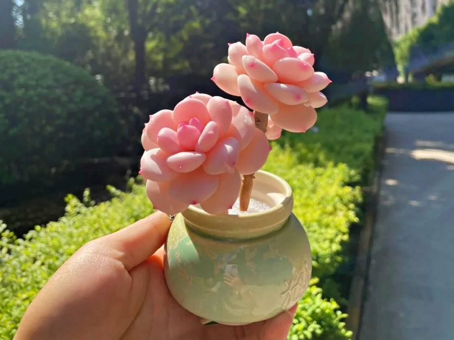 2025 入厝禮 Dcard 10 大推薦：香氛、碗盤⋯避開禁忌、平價實用的禮物挑選指南一次看！