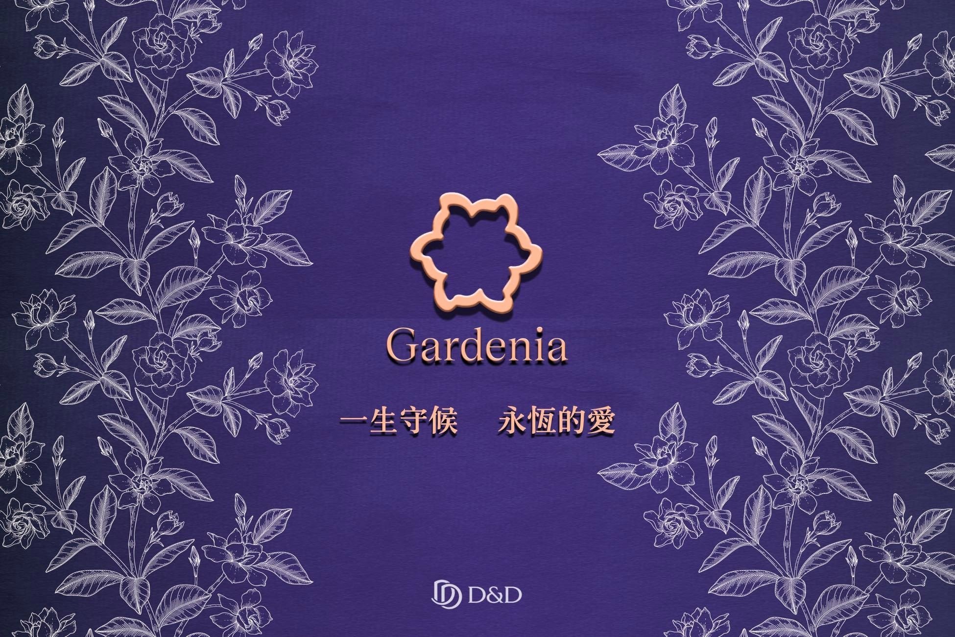 D＆D Jewelry 25 周年「梔子花系列珠寶 Gardenia Collection」發布