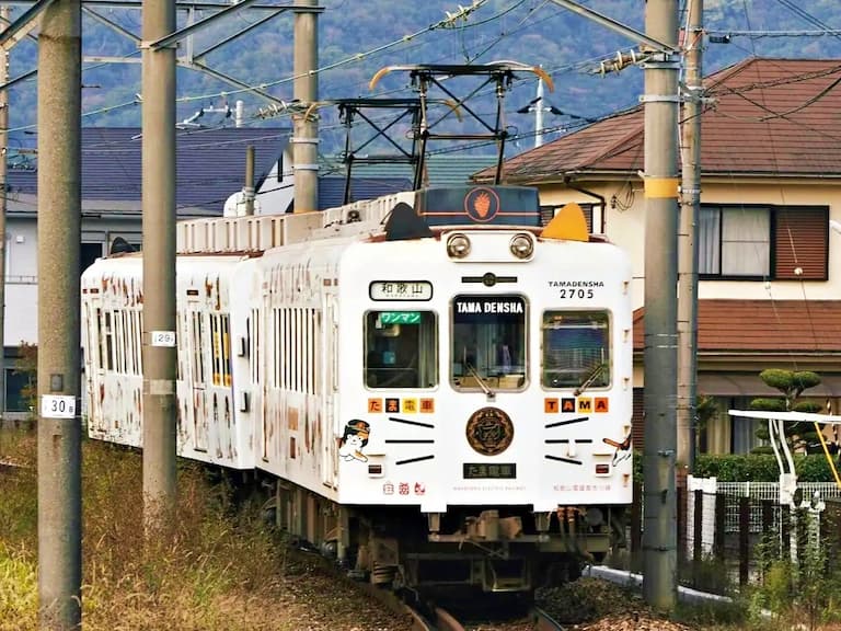 2025 日本和歌山自由行一日遊 PTT 12 大景點地圖推薦：白濱溫泉、小玉電車⋯壯麗景色此生必看！