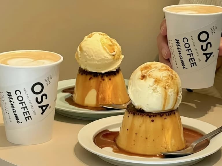 2025 日本大阪咖啡廳 Dcard 12 家推薦 ：LE CAFE V、Hannoc⋯超美老宅讓你拍不完！