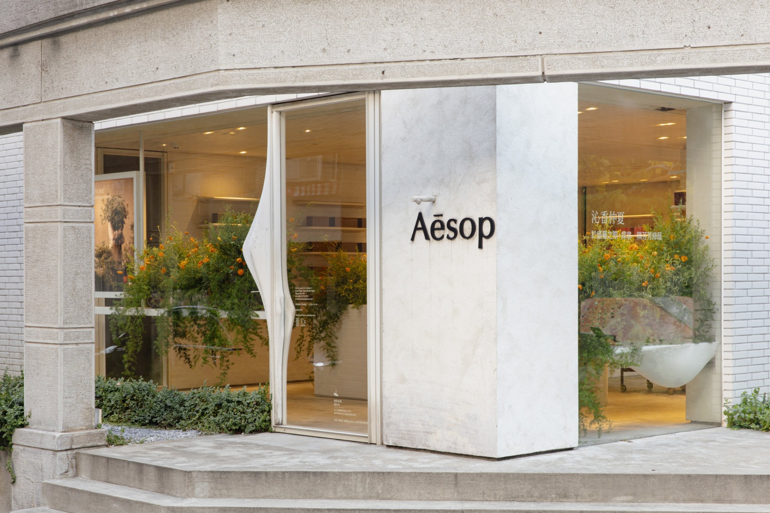 Aesop