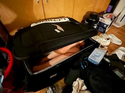CBA／龍獅球員張興亮「把女友裝行李箱」帶進宿舍！遭球團禁賽處分超慘下場曝光！