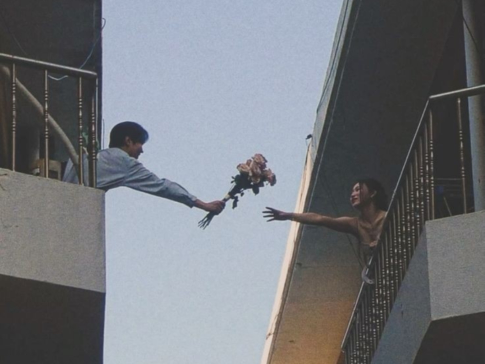 金星逆行五大星座將受影響！巨蟹遇人際考驗、牡羊掀情感波瀾...！