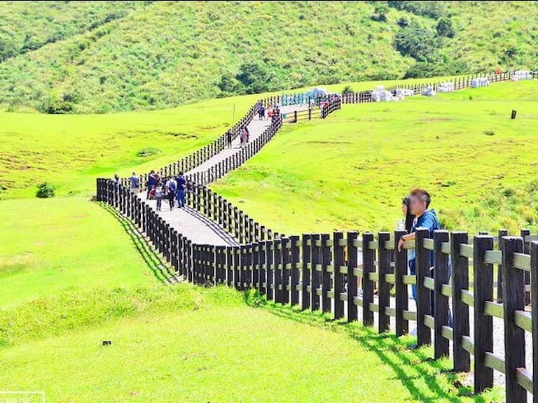 2025 台灣國家公園人氣排行：陽明山超夯、太魯閣人氣慘跌！