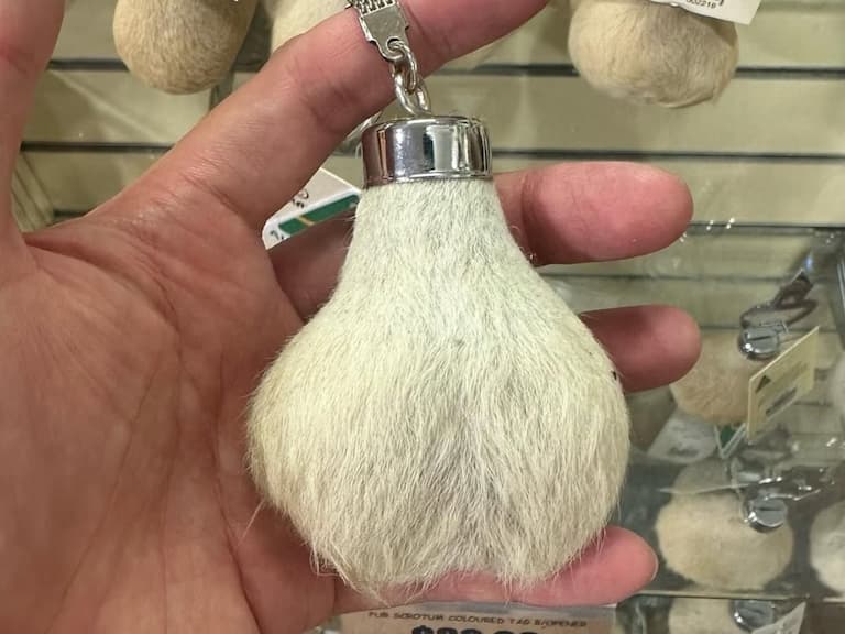 澳洲「袋鼠蛋蛋」紀念品是否進台灣？海關規範再掀熱議！