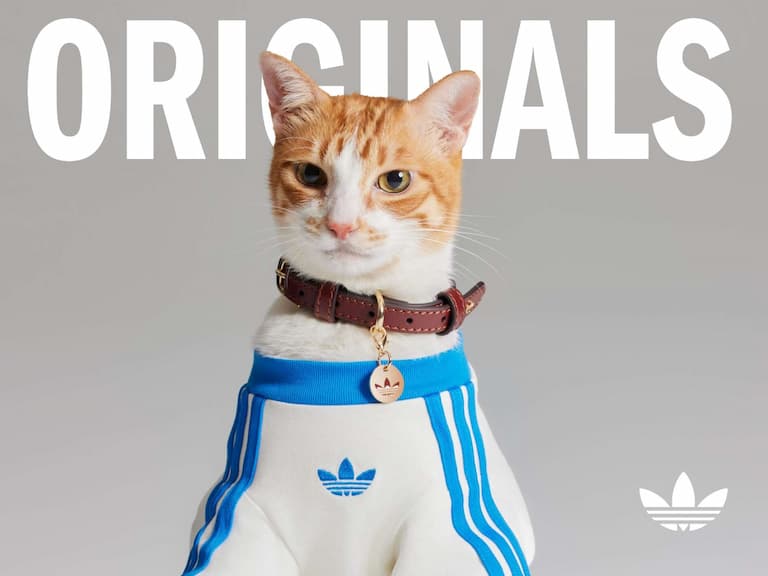 adidas Originals 寵物系列登場!完整單品&發售時間搶先看!