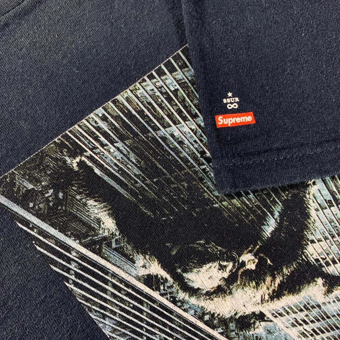 Supreme 經典聯名回憶殺!Zoo York、GOODENOUGH 等 7 組 OG 品牌再現潮流黃金年代!