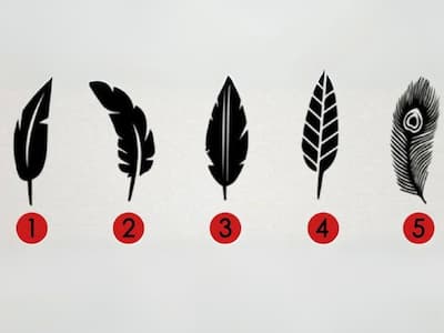 羽毛心理測驗爆紅！選一根羽毛 5 大性格特質與隱藏人格大解析！