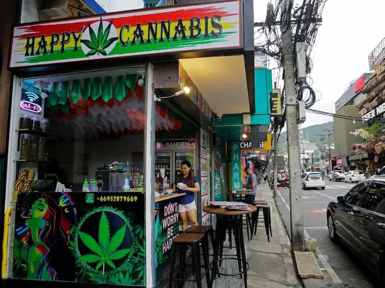 泰國大麻取消合法化！禁止時間、未來僅限醫療用途！