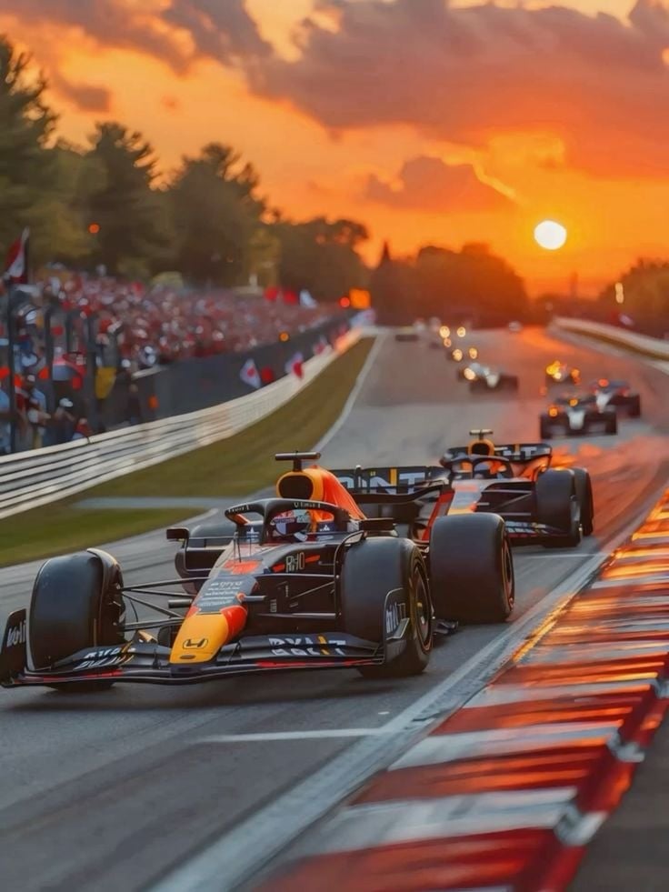 F1 賽車新手入坑 7 大指南!車隊、比賽制度、積分計算⋯快速搞懂 F1 賽事就看這篇!