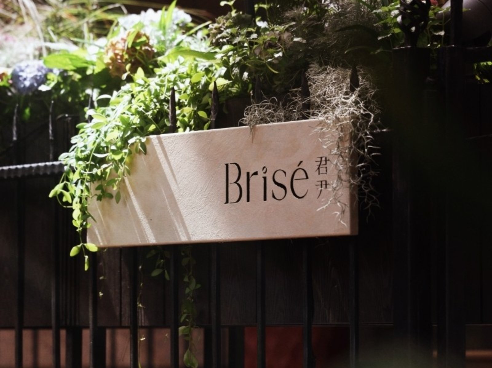 2025 台北約會餐廳推薦：台北 Fine Dining「君尹 Brisé」夏季新菜單、價格、訂位一次看！