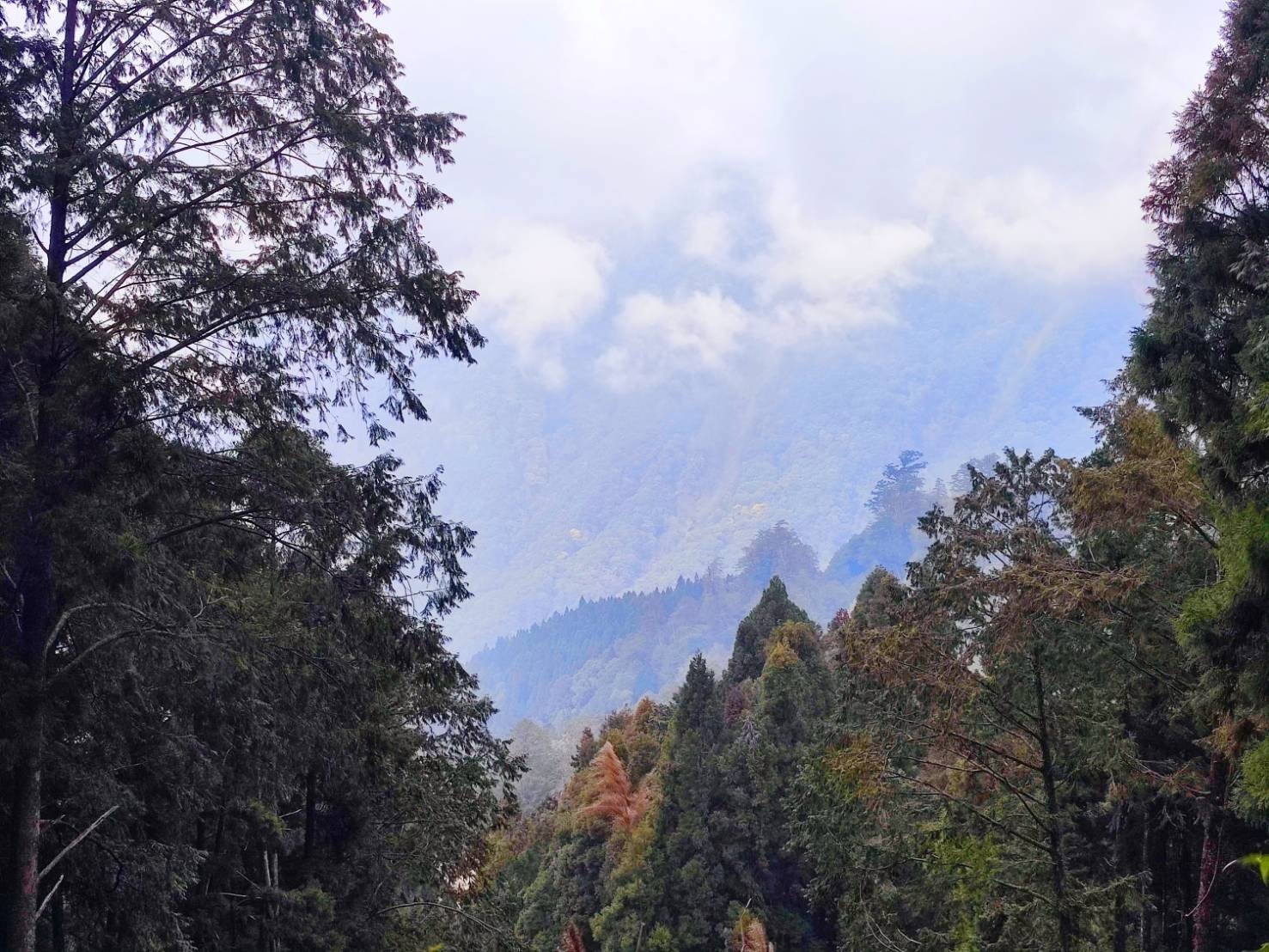 Roots × 雄獅旅遊跨界合作,Taiwan Day系列登場 開啟栩悅號鐵道山林探索之旅