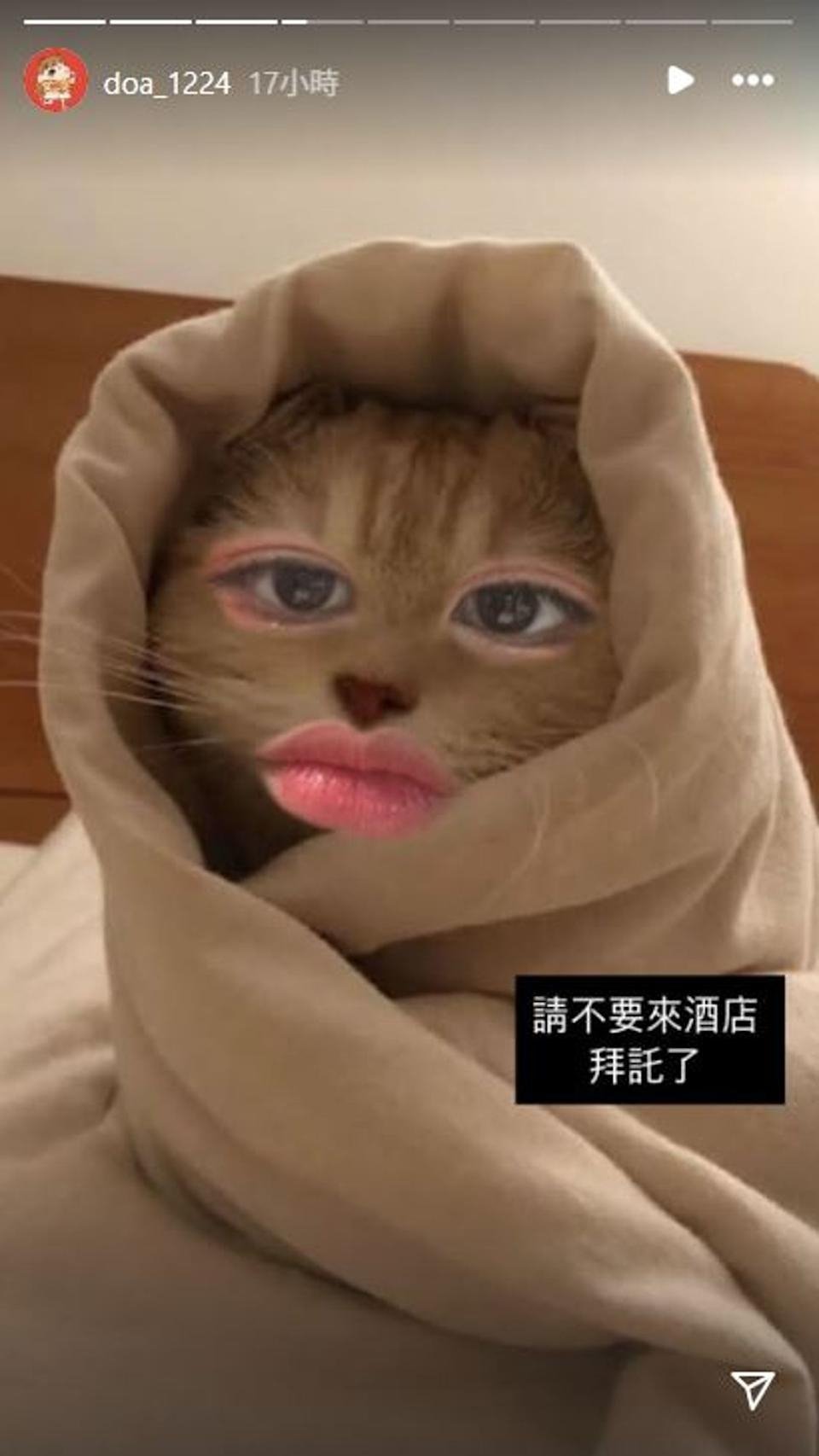 金渡娥台灣工作疑似遇狂粉!IG 崩潰求饒:「請不要來酒店!」