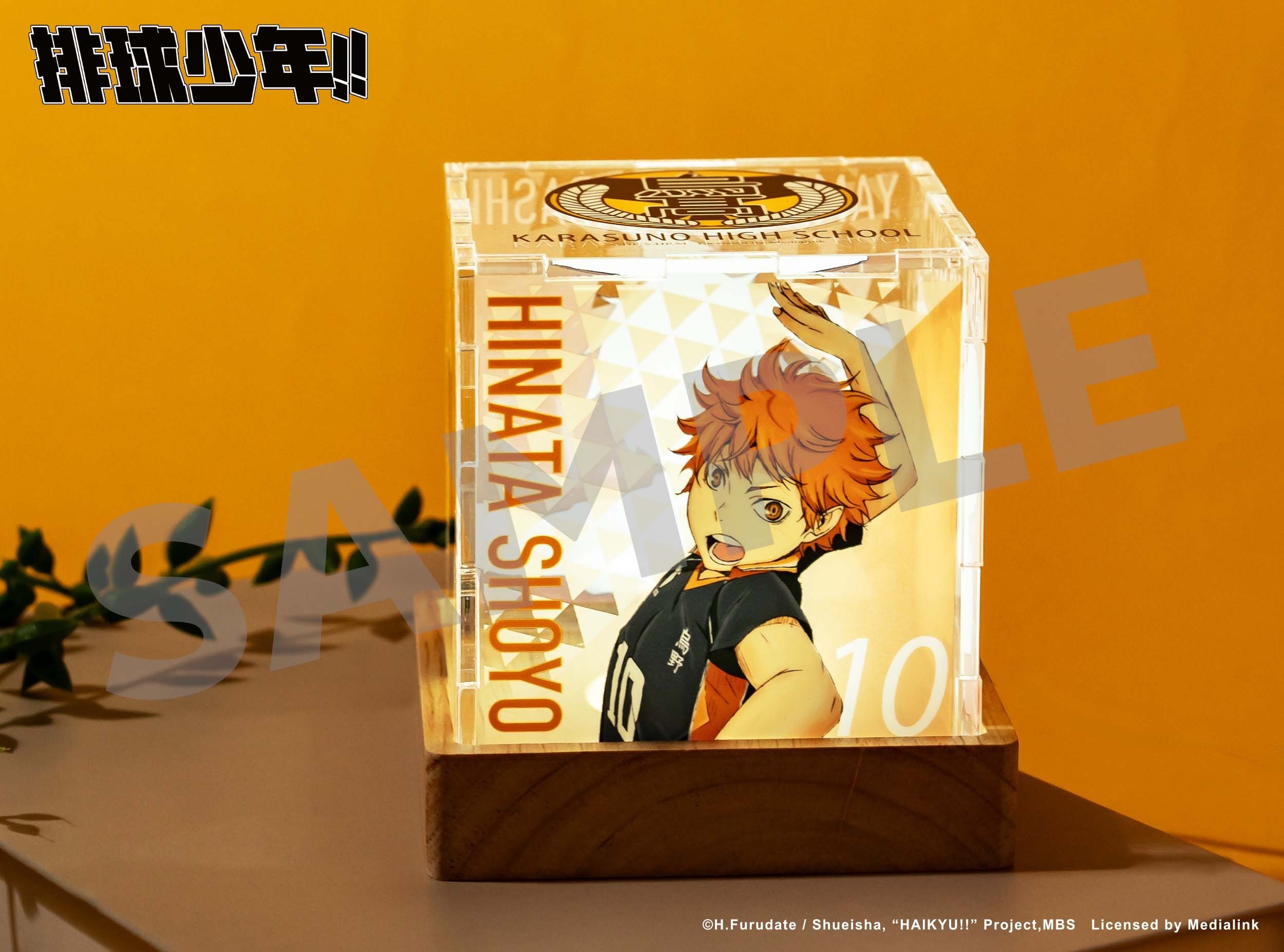 《排球少年!!》快閃店正式登場！烏野立體球場＆近 30 款周邊⋯粉絲不要錯過！