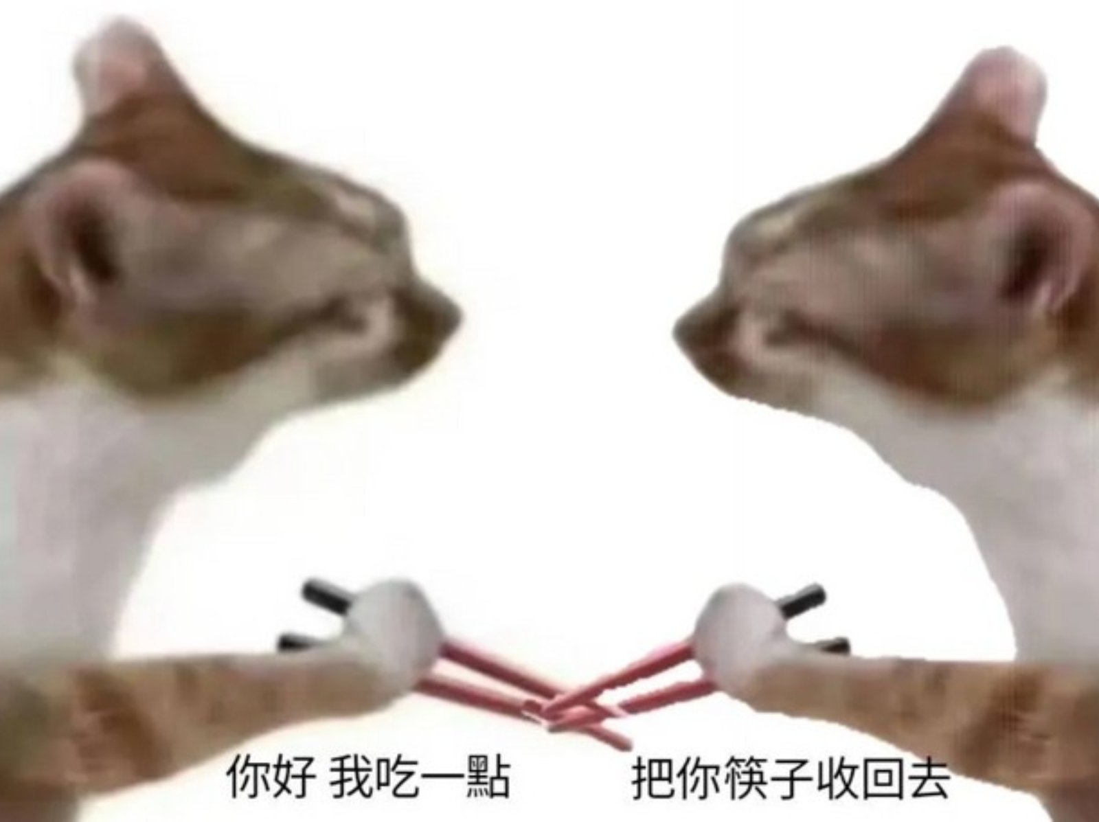 來台觀光遭台灣人洗版「我吃一點」，韓國網友貼梗圖反擊全網笑翻！