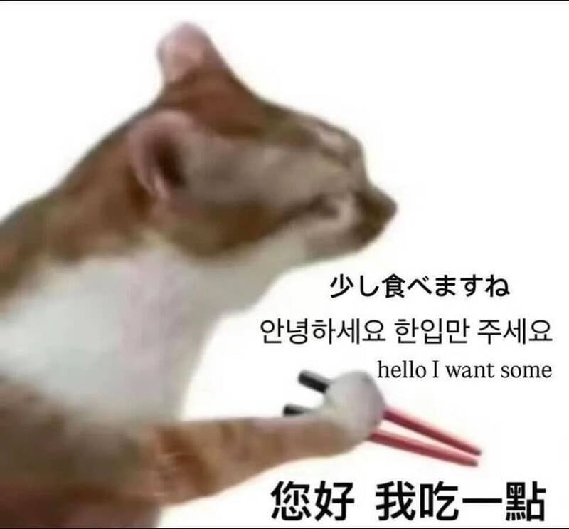 來台觀光遭台灣人洗版「我吃一點」,韓國網友貼梗圖反擊全網笑翻!