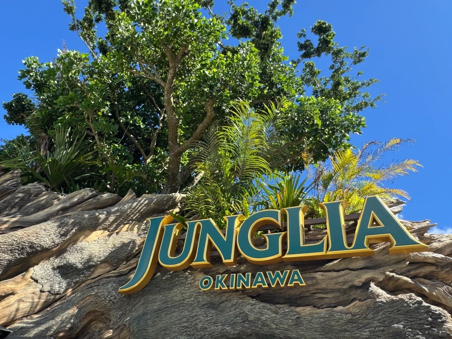 沖繩「JUNGLIA」侏羅紀恐龍樂園遭狂刷負評！台灣旅客吐槽：「還不如國旅！」
