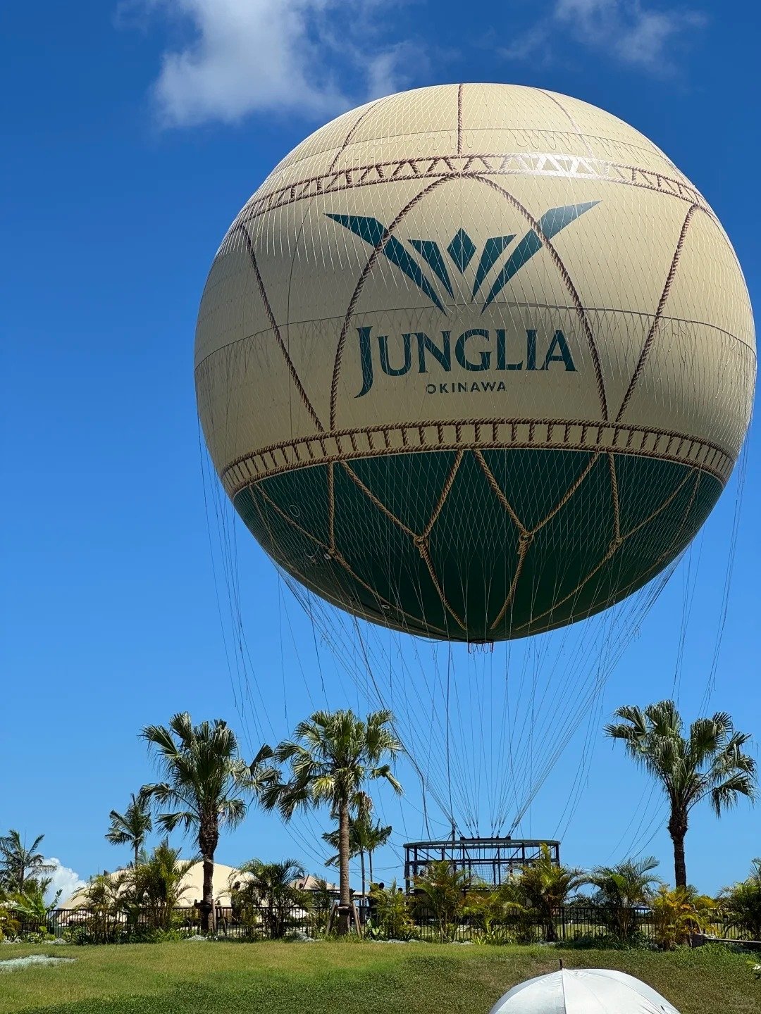沖繩「JUNGLIA」侏羅紀恐龍樂園遭狂刷負評！台灣旅客吐槽：「還不如國旅！」