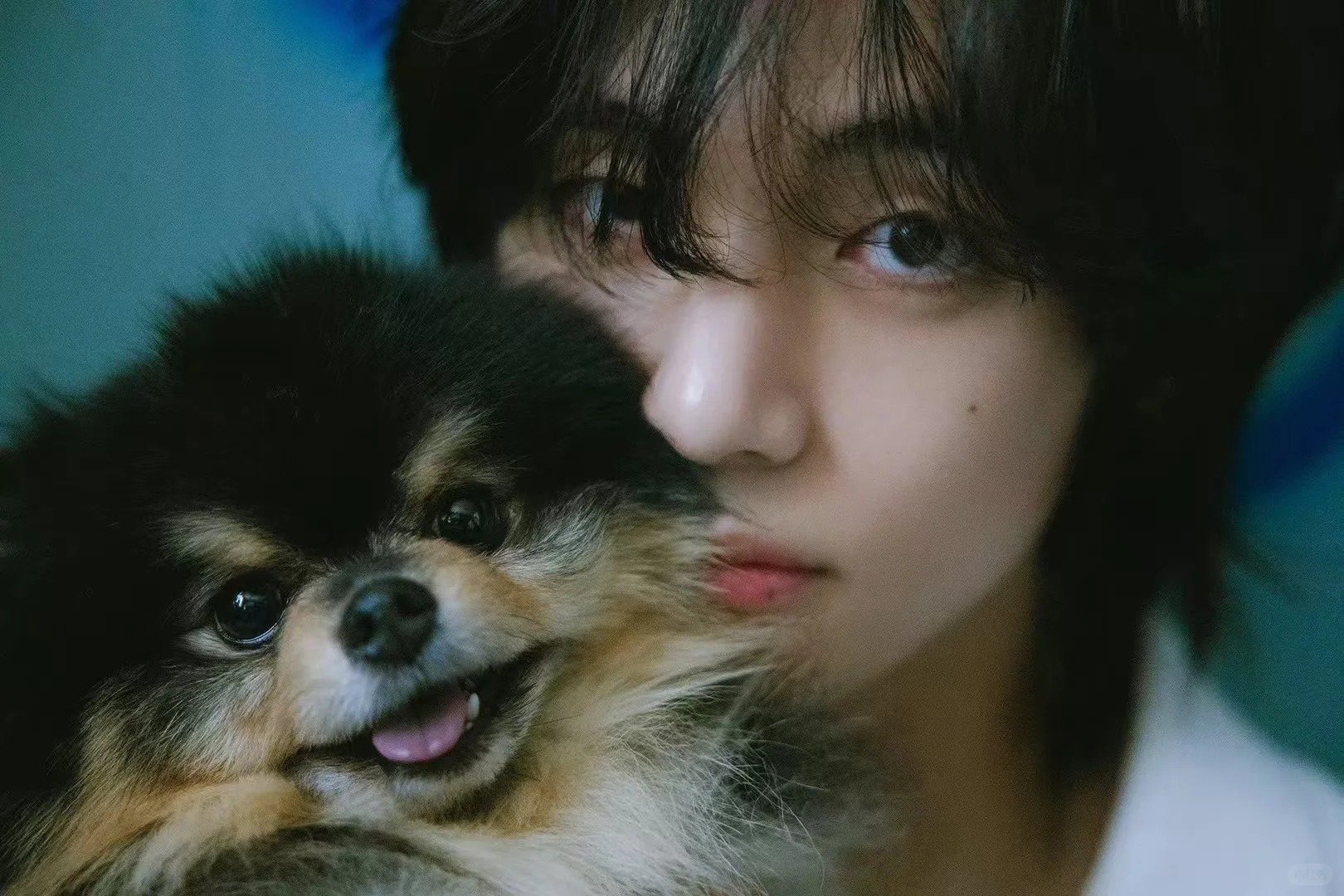 韓星「愛犬」盤點：GD 沙皮犬家虎、Jennie 博美 Kuma、田柾國杜賓犬 Bam⋯10 位人氣毛孩全公開！